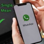 WhatsApp Single Gray Tick
