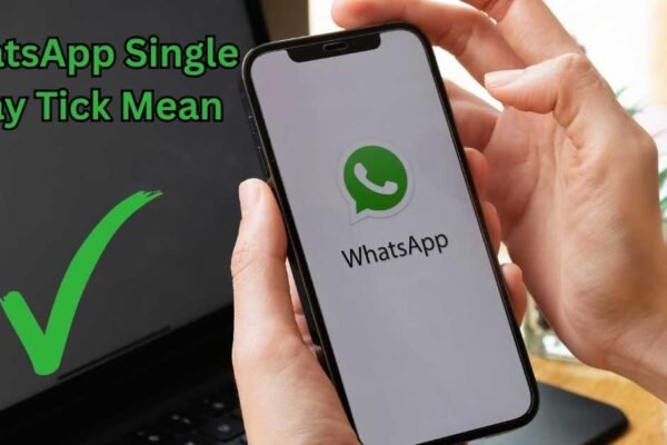 WhatsApp Single Gray Tick