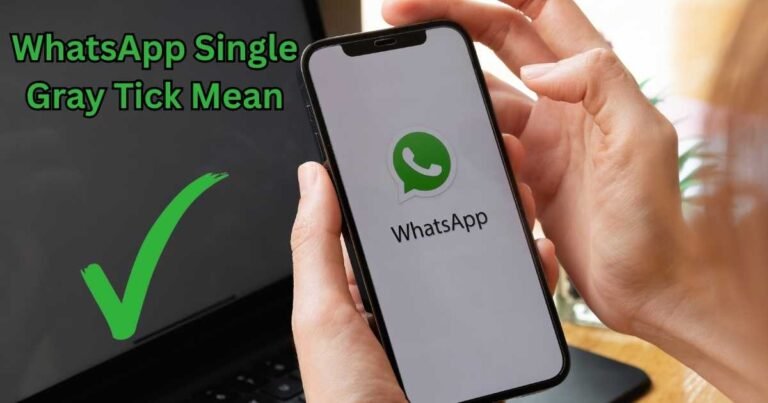 WhatsApp Single Gray Tick