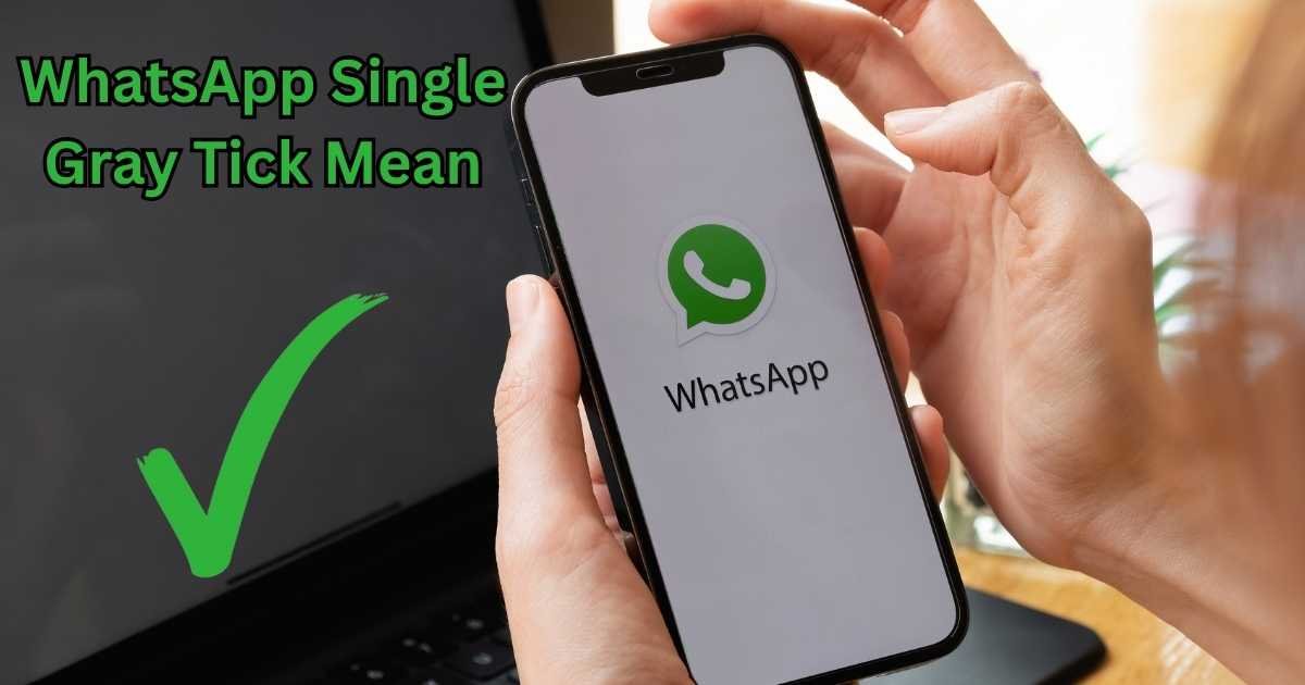 WhatsApp Single Gray Tick