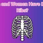 Do Men and Women Have Different Ribs?