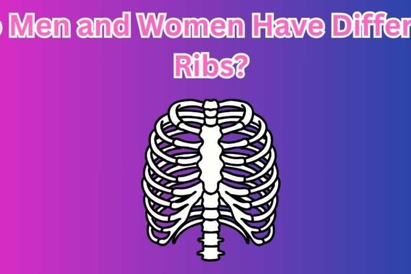 Do Men and Women Have Different Ribs?