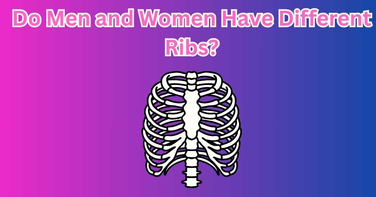 Do Men and Women Have Different Ribs?