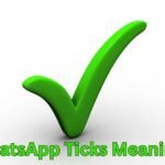 WhatsApp Ticks Meaning