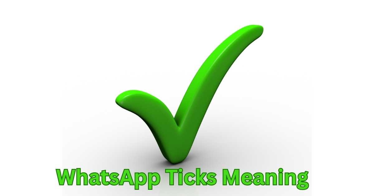 WhatsApp Ticks Meaning